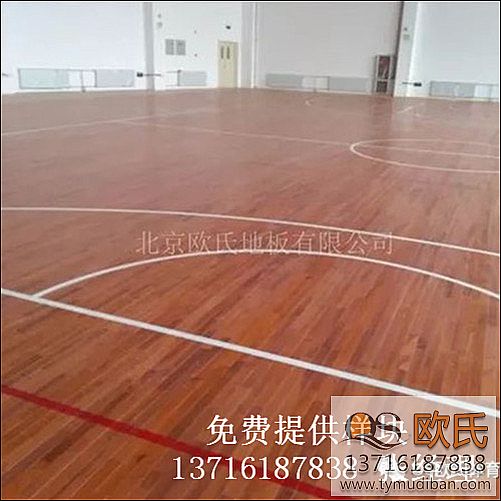 �w���^�\�ӻ@��ľ�ذ尸��-���Cʡ��������ЌW�w���^