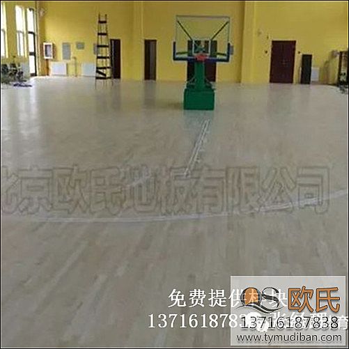 �@���\���w������ľ�ذ尸��-��(n��i)�ɹŞ����p��늏S�@���w���^