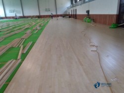 �е��w��ľ�ذ�S�҈�(b��o)�r(ji��)