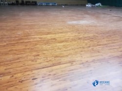 ��ľ�@��ľ�ذ�r���