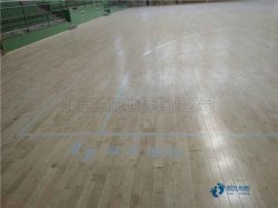 ��ľ�\�ӻ@��ذ�S�o���B(y��ng)