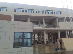 ��(sh��)ľ�@���w��ľ�ذ�h(hu��n)��